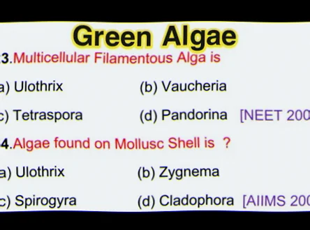 algae mcq for msc botany