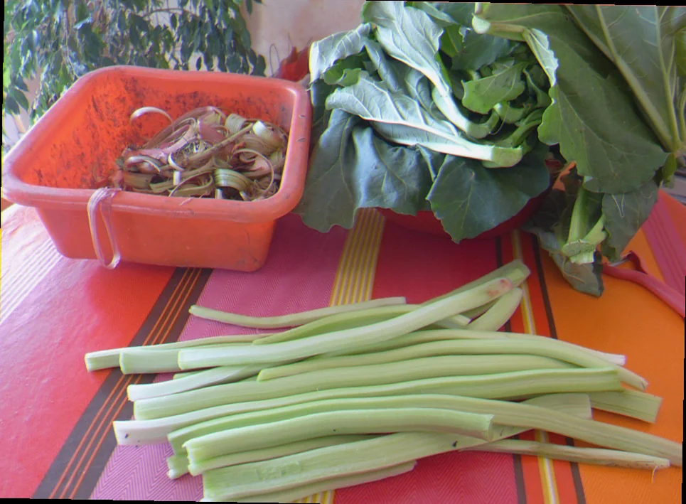 best manure for rhubarb