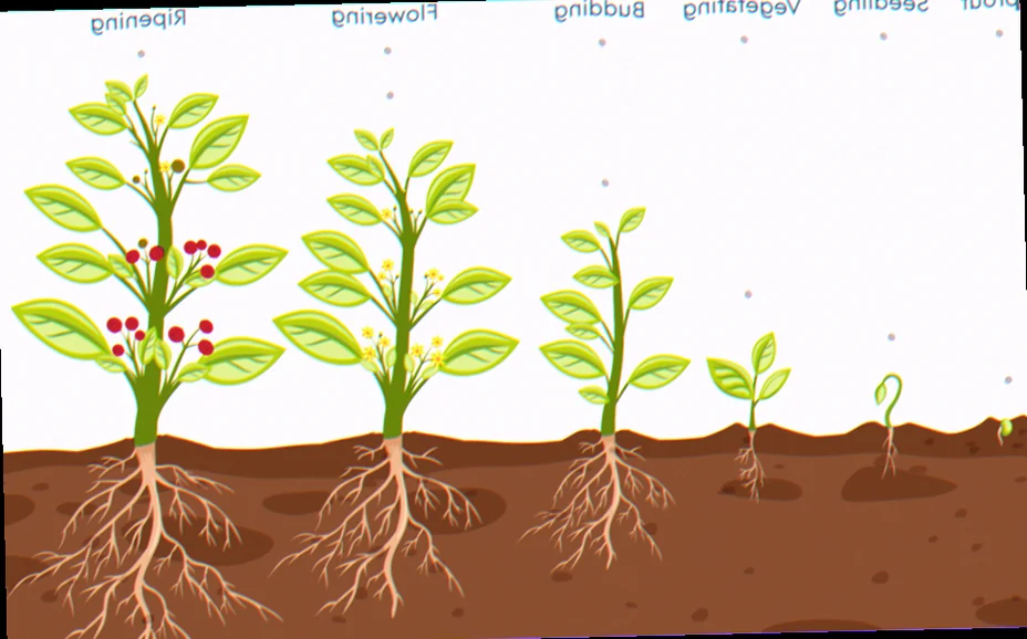 different types of plant growth