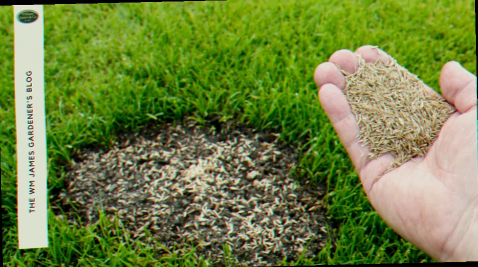 mesh netting for grass seed