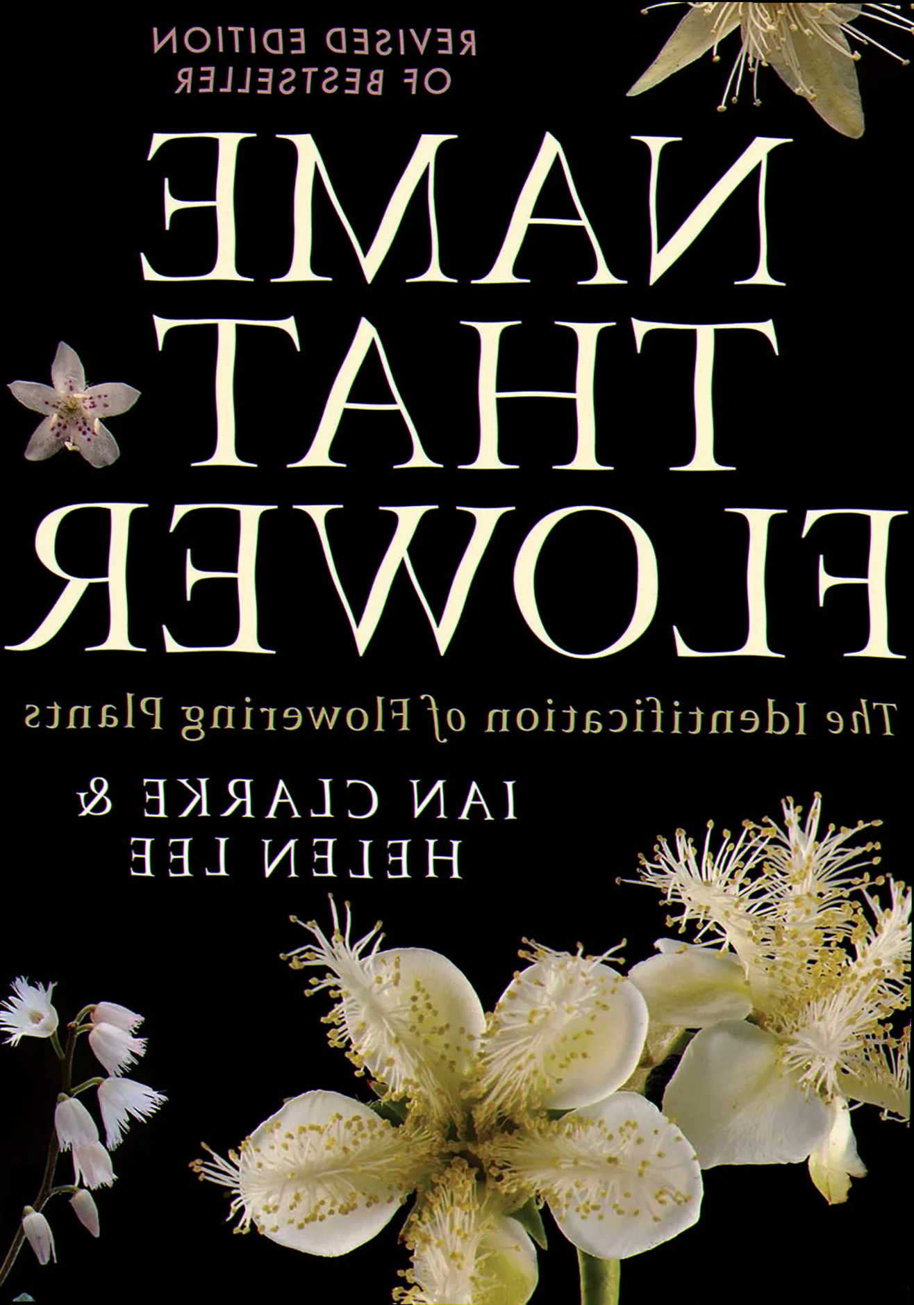 name that flower the identification of flowering plants