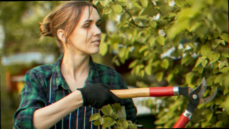 planten snoeien voorjaar