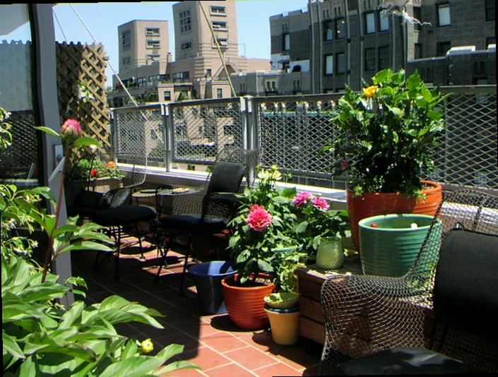 plants for nyc terrace