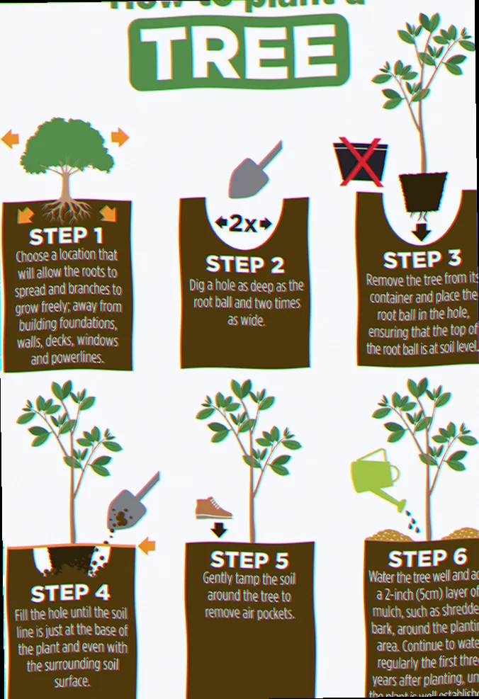 step by step procedure for planting trees plants