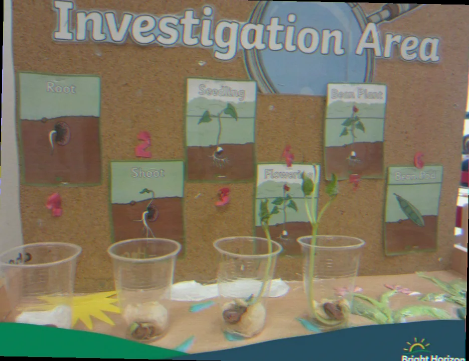 stories about growing eyfs