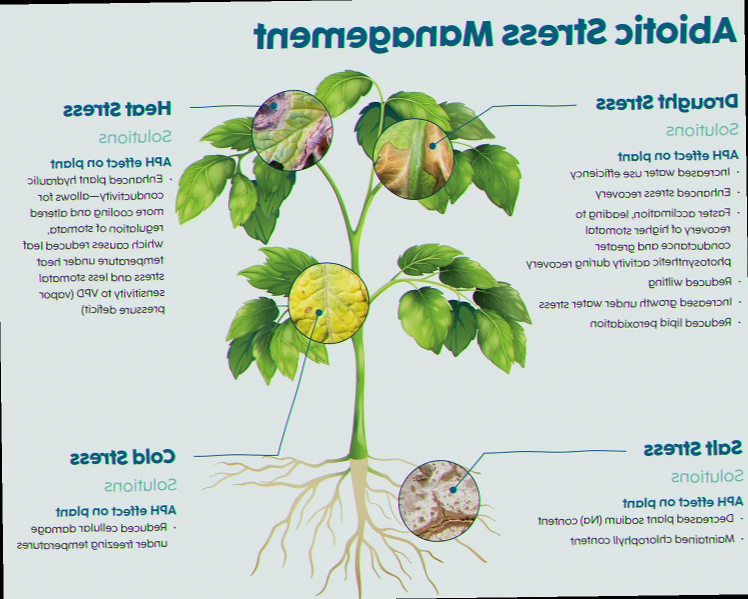 types of abiotic stress in plants